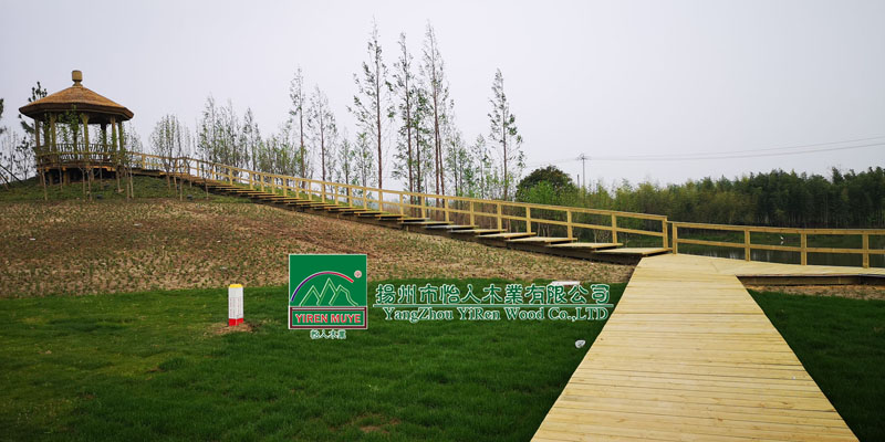 �P(y��ng)����ˎ�@ľ�������˽�ͤ��ƽ�_(t��i)��ˮ�