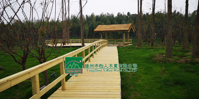 �P(y��ng)����ˎ�@ľ�������˽�ͤ��ƽ�_(t��i)��ˮ�