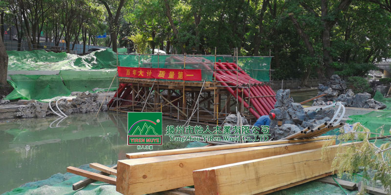 �t�򡪡�����ľ����